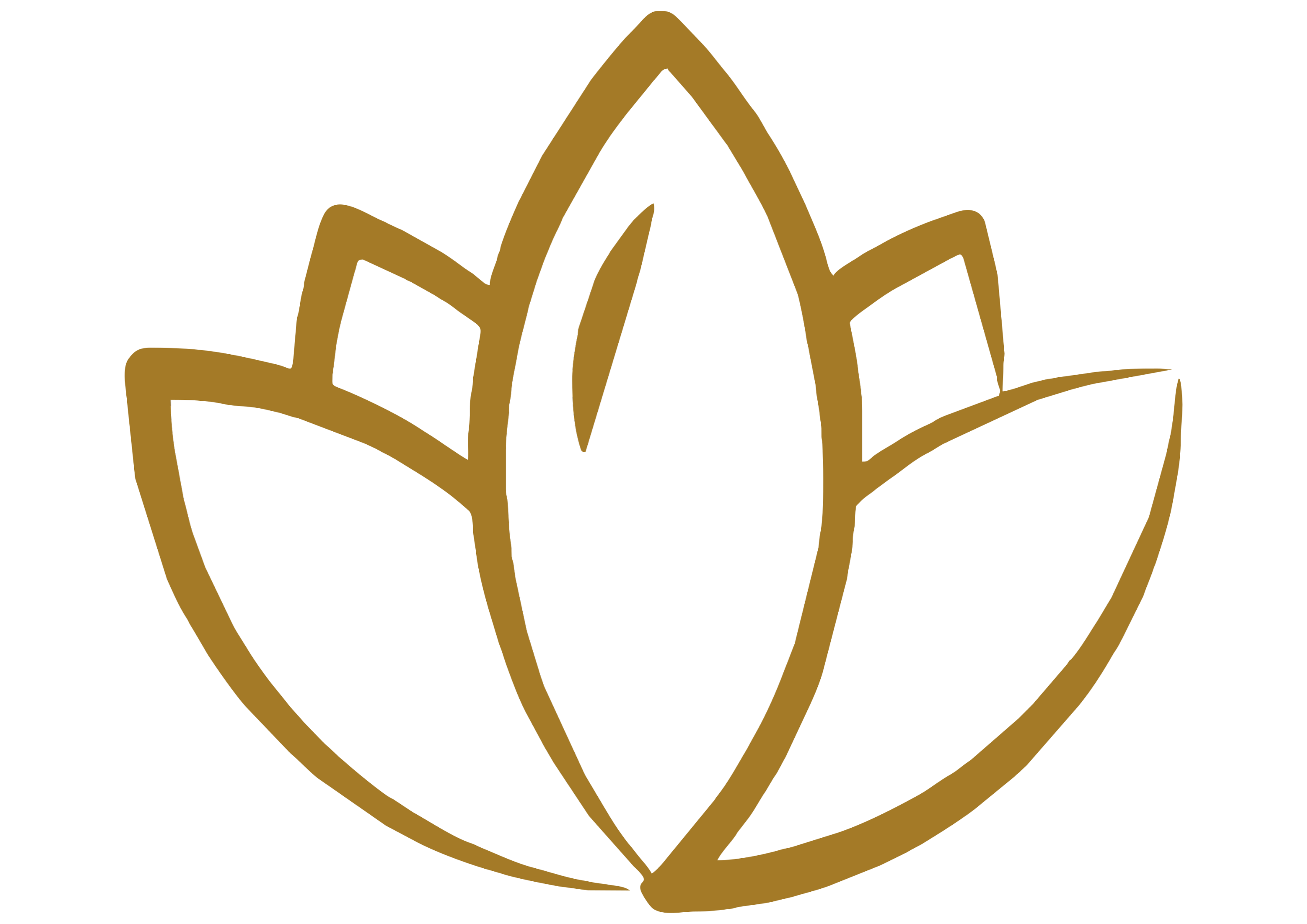 DSkin Logo